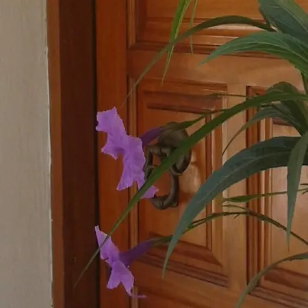 La Casa D' Irene Сasa de vacaciones *