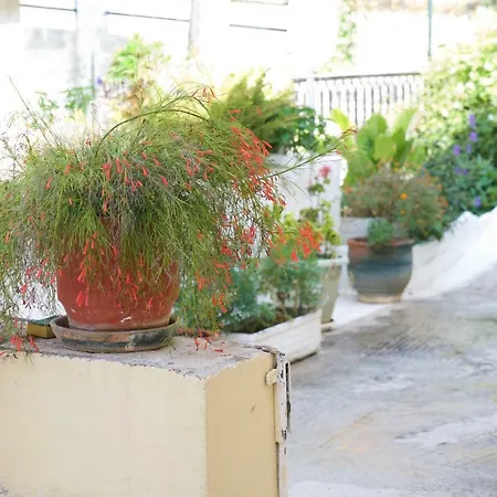 Сasa de vacaciones La Casa D' Irene Agia Efimia