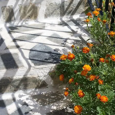 Сasa de vacaciones La Casa D' Irene
